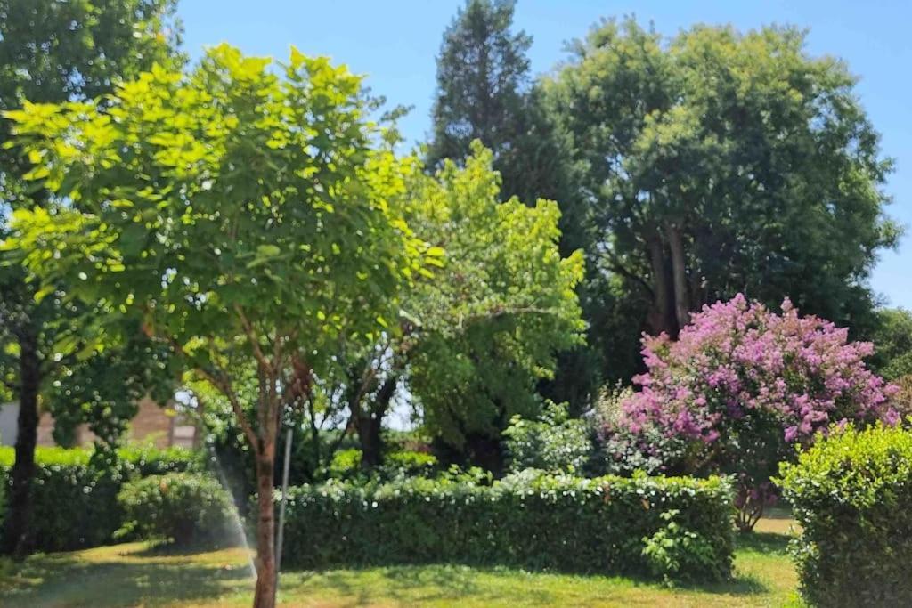 Chateau D'Issandou Golfech Esterno foto