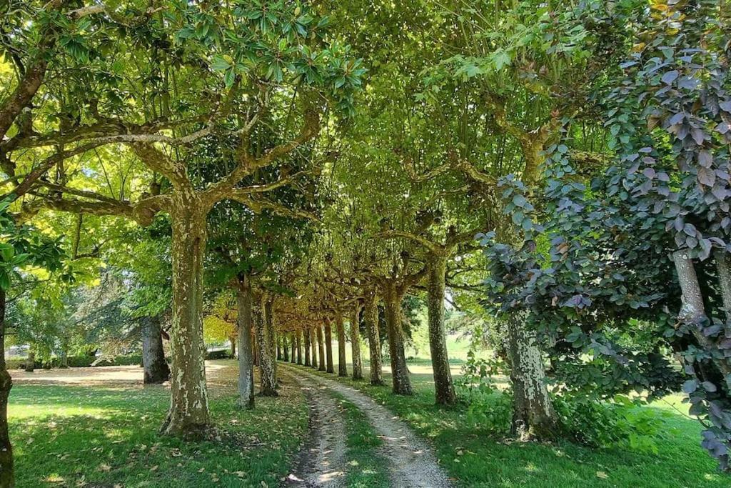 Chateau D'Issandou Golfech Esterno foto