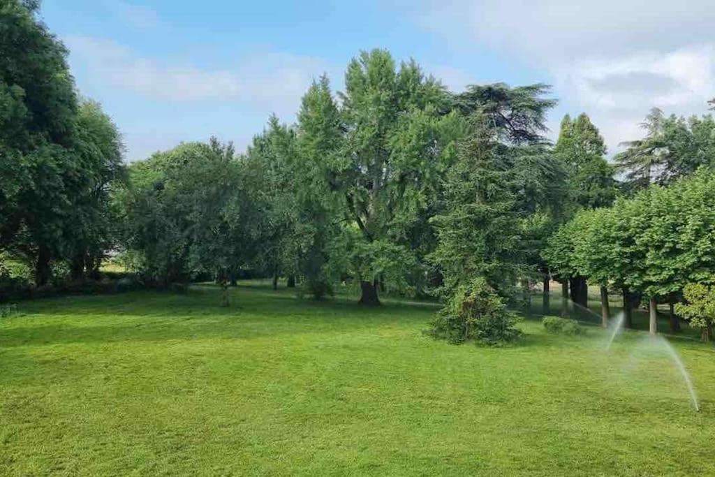 Chateau D'Issandou Golfech Esterno foto