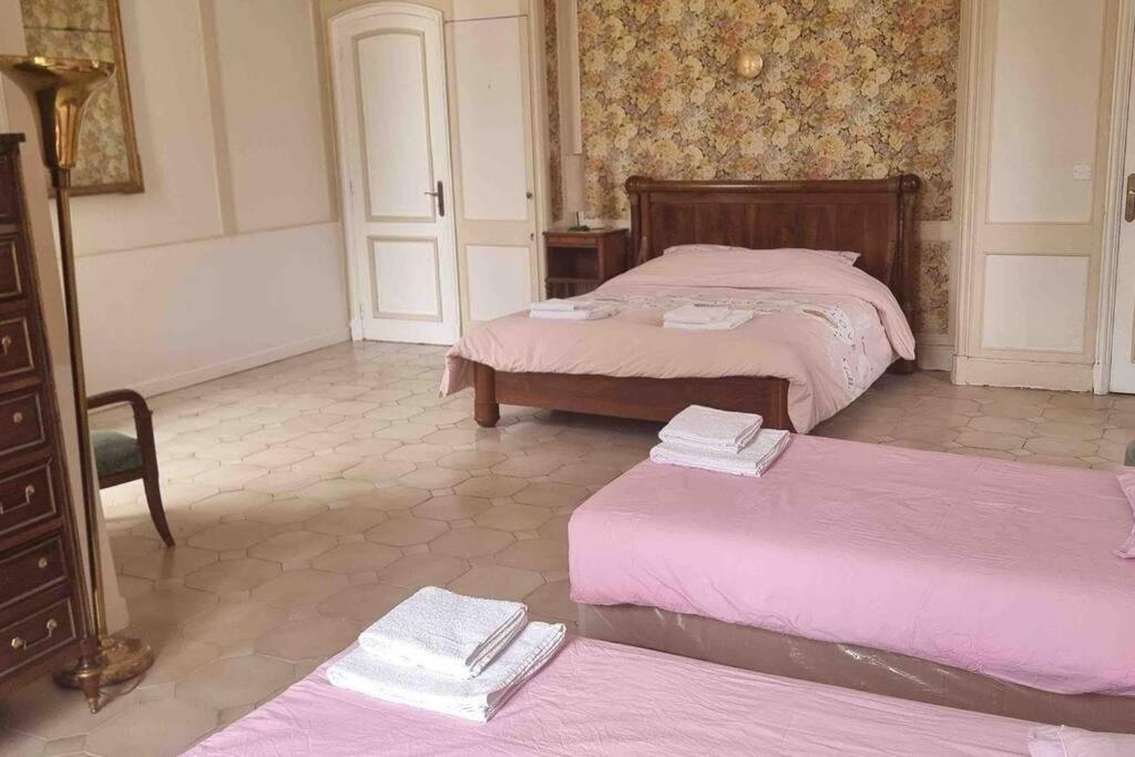Chateau D'Issandou Golfech Esterno foto