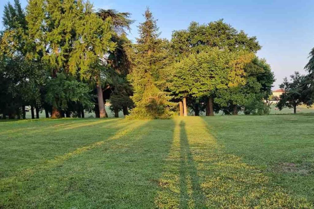 Chateau D'Issandou Golfech Esterno foto